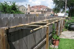 bamboo-trellis_3615669262_o