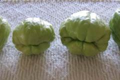 louisiana-mirlitons-chayote_3478164452_o