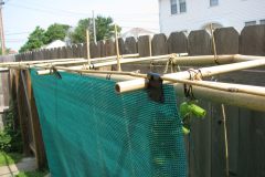 shade-cloth-on-trellis-close-up_3674024256_o
