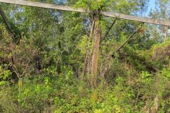 IMG_0043