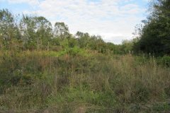 IMG_0050