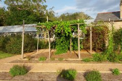 botanical-garden-3