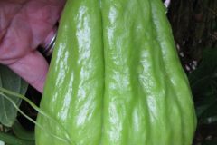 IMG_1925