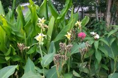 IMG_20180729_134220775