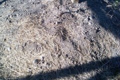 Leo-Jones-mounds-close