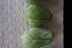 IMG_1751