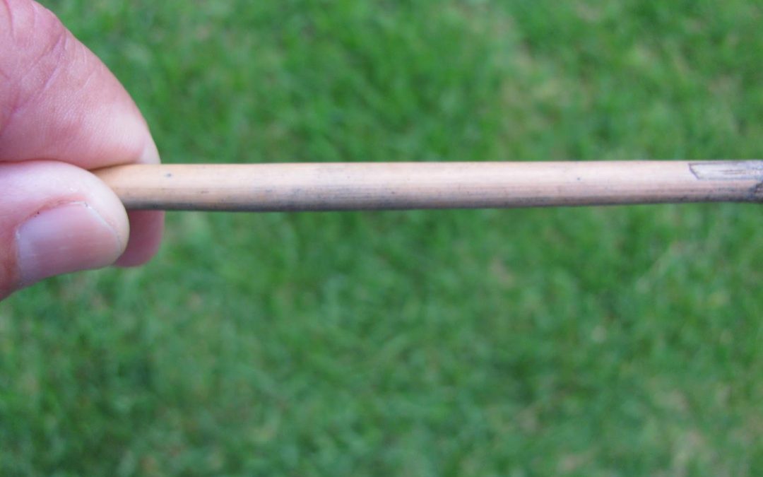 How to use a Bamboo Stake For Determining Plant Watering Needs