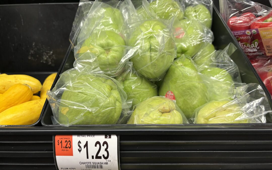 Eat’em–Just Don’t Plant’em! Why Grocery Store Mirlitons (chayote) Shouldn’t Be Used as Seed.